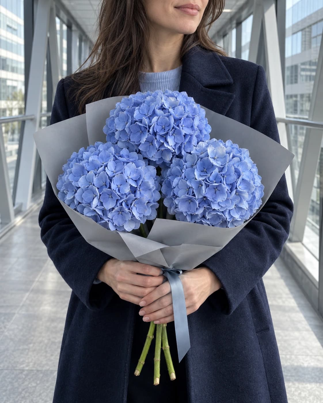 Три голубые гортензии